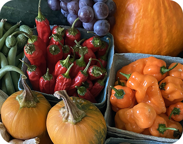 A variety of fruits and vegetables are displayed.